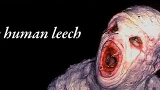 The Manipulated Man Series: Chapter 2 - "A Woman's Scam"