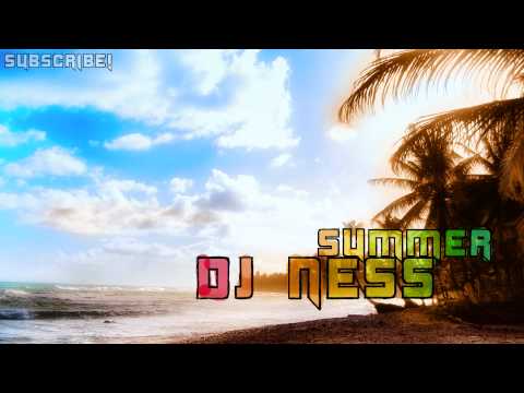 DJ Ness - Summer