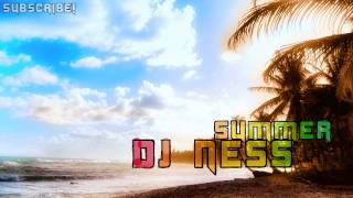 DJ Ness - Summer