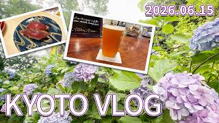 【14:30スタート】3時間半で京都を大満喫！あじさい名所から絶品ビール＆回転寿司を巡るVLOG