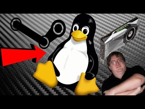 Is Linux the Future of Gaming? | The RetroView