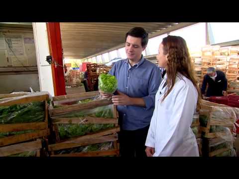 Câmera Record - 23/07/2014 - Como Evitar o Desperdício e Aproveitar os Alimentos em Casa