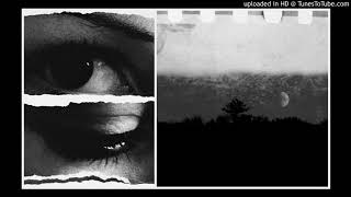 Suzanne Vega - Knight Moves