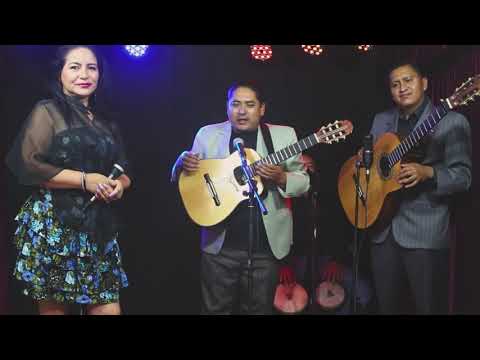 Lloro por tu amor / Cabañal / Primor de Chola / Interrogación - Artistas Criollos