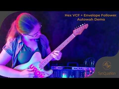 SynQuaNon Eurorack Polyphonic AutoWah by Eleanor Fontaine