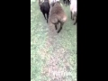 О вот она обжигает!!!!!! ; ) 