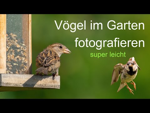 Abenteuer Naturfotografie / Vögel im Garten fotografieren, super Leicht