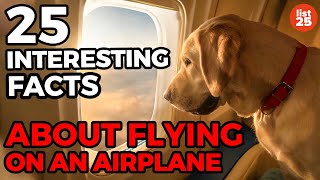 25 Things Nobody Ever Told You About Flying On An Airplane