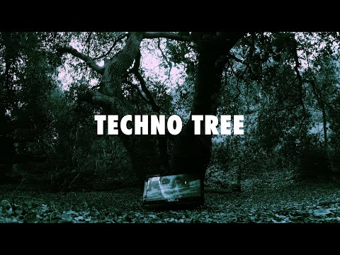 Will Clarke & Ammara - Techno Tree (Official Video)
