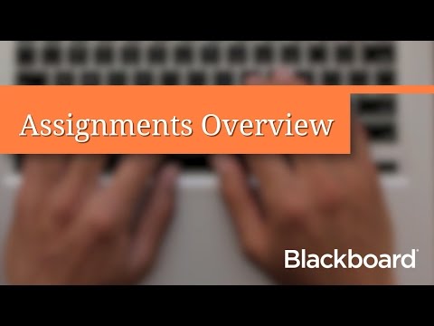 Assignments overview