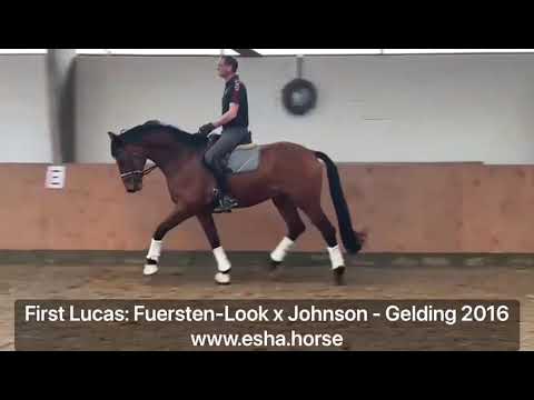 First Lucas: FUERSTEN-LOOK x JOHNSON