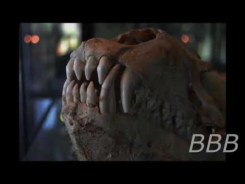 SCP 4715 A Demon Born of War|Children of the Night SCP