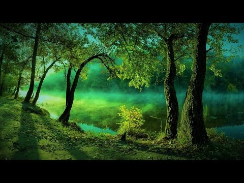 Forest Elf Music – The Emerald Realm