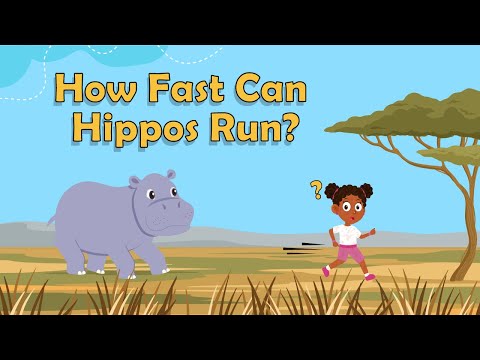 How Fast Can Hippos Run? | Animal Facts for Kids | Hippos Facts | Science Facts For Kids