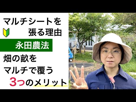 どのような種類のマルチを選択すればよいですか?さまざまなマルチの利点  庭園