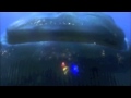 Finding Nemo Alternate Whale Scene