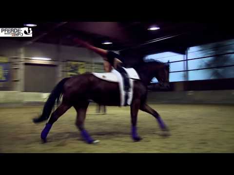 Turniersport Voltigieren – Pflichtblock 1