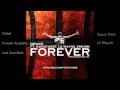 Drake Forever Remix