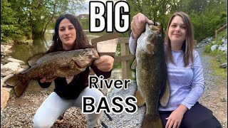 River Fishing for TROPHY Smallmouth! (Bank Fishing)