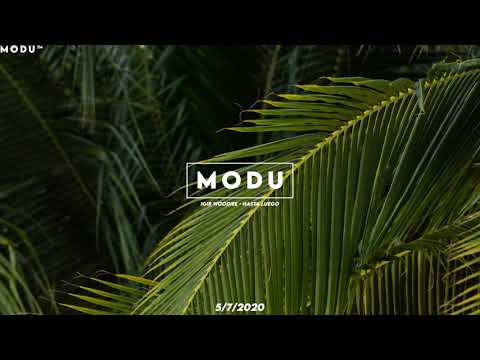 IGIR Woodiee - Hasta Luego