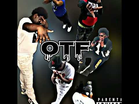 ogk ant - otf