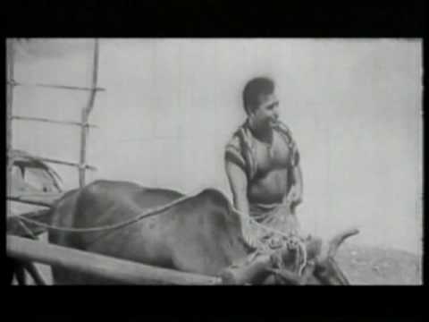 "Mal Pethi Paradana" - Dharmadasa Walpola (Rana Giraw, 1967)