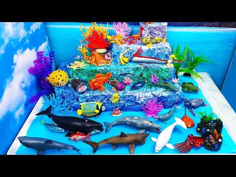 Meet Sea Animals in a huge coral reef diorama-Learn Marine animals names and facts foe preschool