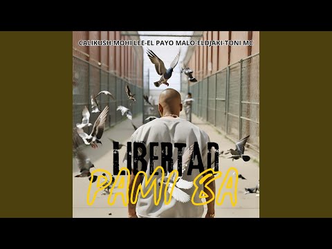 LIBERTAD PAMI 8A