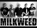 Milkweed-Buzzclip 