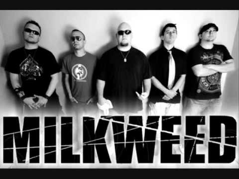 Milkweed-Buzzclip