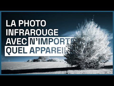 Infrared Photography: Shooting with Any Camera!