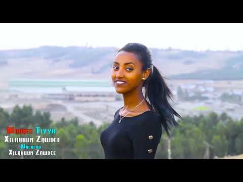 Tilahun Zewdea - Ethiopian New Music - Waanee Tiyya - Xilahuun Zawdee