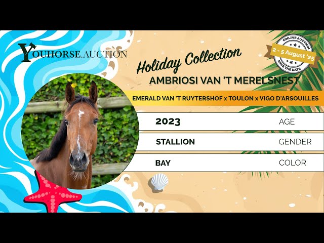 Ambriosi van 't Merelsnest