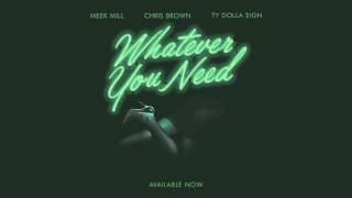 Whatever You Need (feat. Chris Brown & Ty Dolla $ign) Music Video