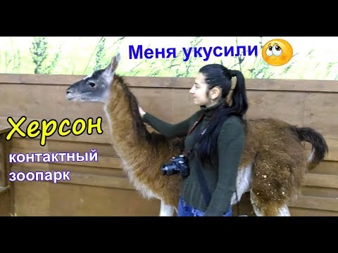 Лошадь укусила.  Херсон (контактный зоопарк) ТРЦ "Fabrika", "Страна ЕНОТиЯ"
