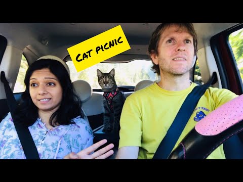 Pixie Tales S2E01: Picnic at the park