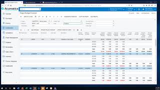 Project budget demo