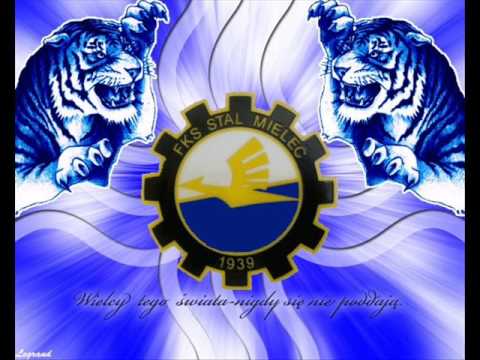STAL MIELEC -  Biało Niebieskie Barwy