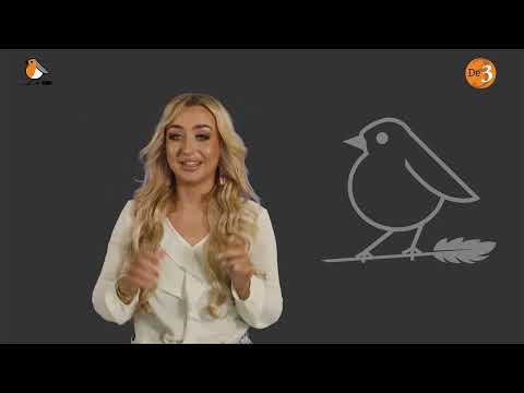 Waarom bloggen geen zin heeft (en waarom wel)