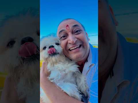 Cute Doggy 😳😱❤️!