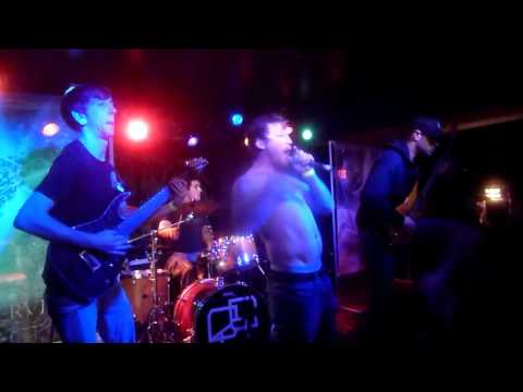 The Observer Effect - Chicanery (Live in Ottawa)