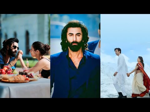 ANIMAL Mashup Nonstop - Jukebox | Jay Guldekar | Satranga | Pehle Bhi Mein