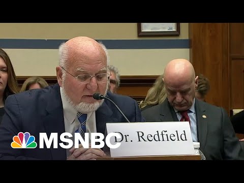 House hearing examines Covid origins amid theories of Chinese lab leak