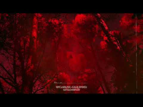 WPC x MAŁPEN - CZUJĘ SPOKÓJ (NSTRs)Prod.MTI