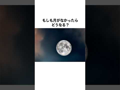 小惑星の月について詳しく解説