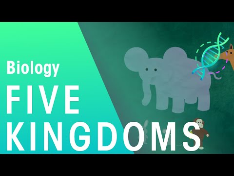 The 5 Kingdoms in Classification | Evolution | Biology | FuseSchool