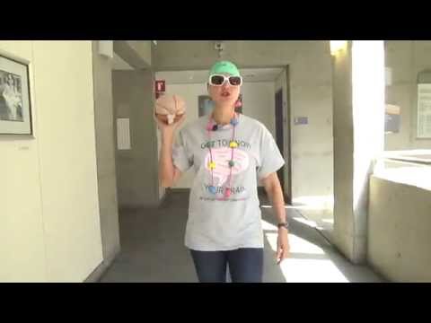 MC Sara Bellum: Get to Know Your Brain - Samuel Merritt U