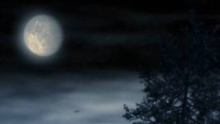 Howard Carpendale - Samstagnacht