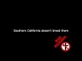 Bad Religion - Land of Competition [Lyrics]