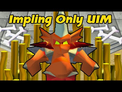 1,000,000,000 GP In Dragon Implings - Impling Only UIM (#44)